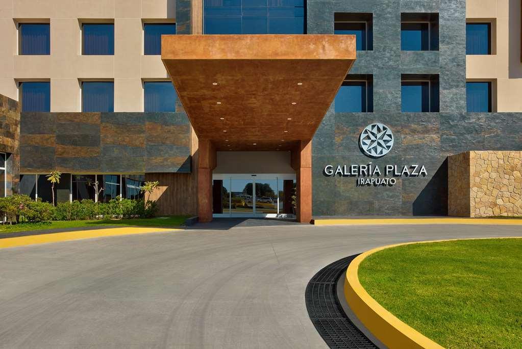 ホテル Galeria Plaza イラプアト ロゴ 写真